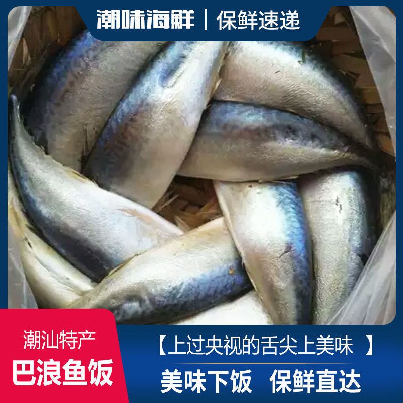 潮汕特产熟鱼450g海鲜潮菜潮汕鱼饭巴浪鱼花仙鱼新鲜即食下饭送粥【2