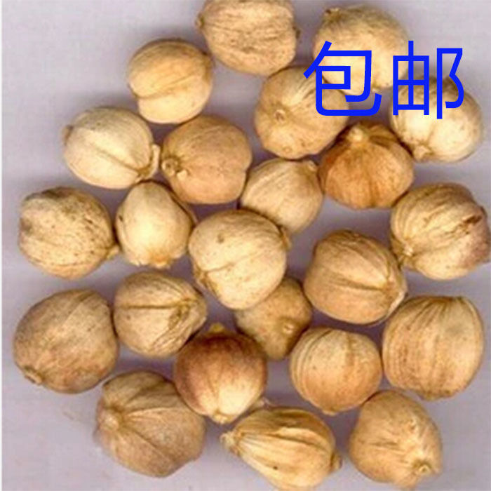豆蔻 白扣 白豆蔻 白蔻 白寇 仁蔻 川菜火锅卤料香料 500克100克