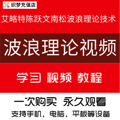 【波浪理论视频】艾略特股票教程陈跃文实战培训南松推浪三部曲