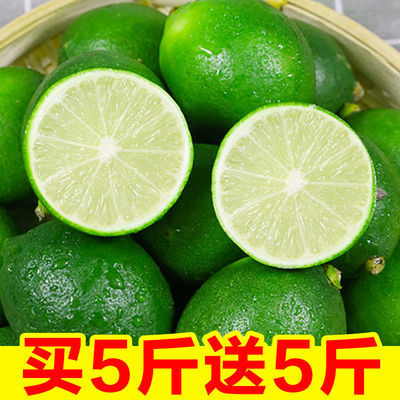 【果园现摘】海南青柠檬新鲜柠檬酸爽青皮小青柠新鲜水果多规格选
