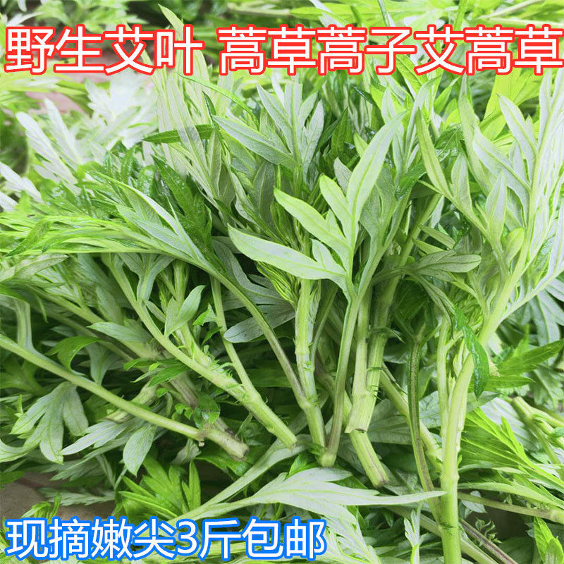 查看源网页