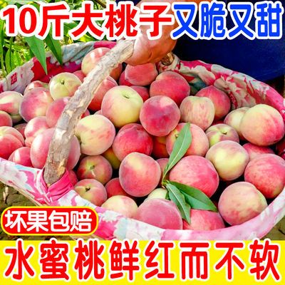 【又脆又甜】水蜜桃新鲜桃子现摘当季山西大毛桃孕妇水果10/5/3斤