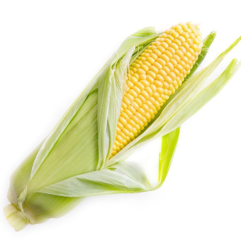 【特价10斤】现摘云南水果玉米甜玉米新鲜玉米棒子甜脆3/5斤包谷