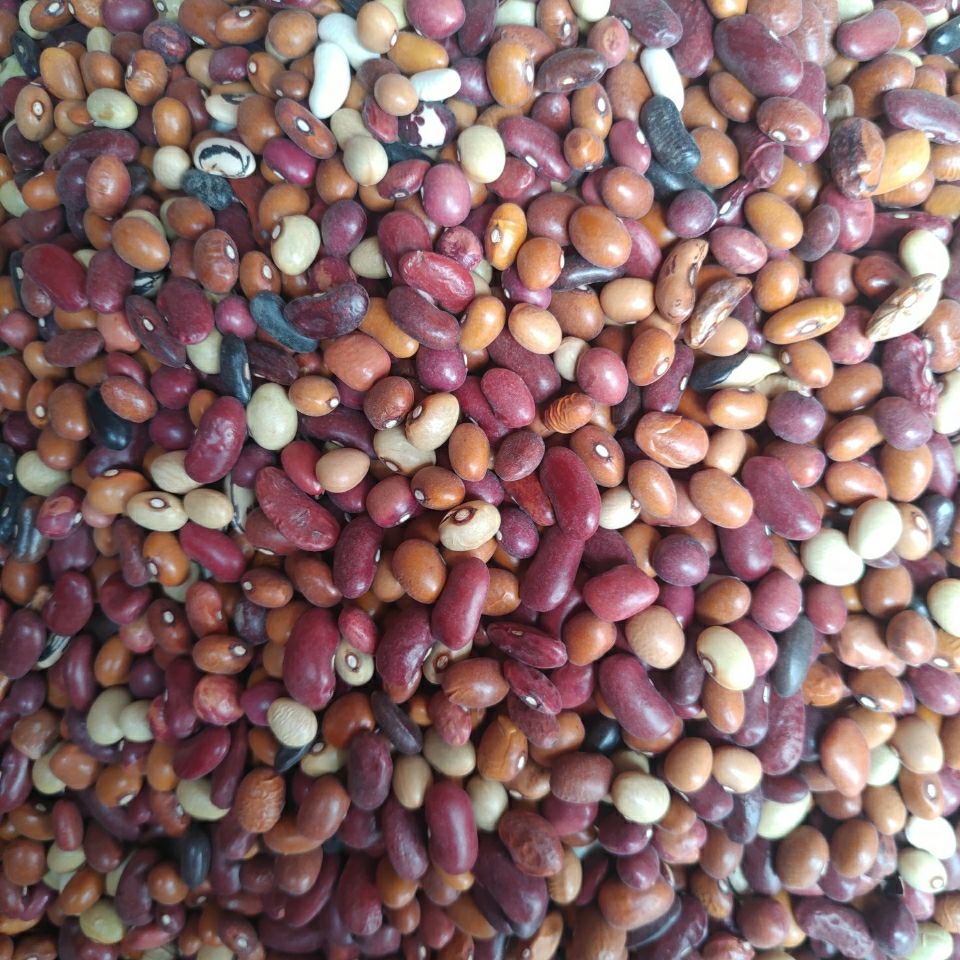 杂芸豆农家自产杂豆组合腰豆红豆沙八宝粥原料杂粮豆类5斤3斤包邮