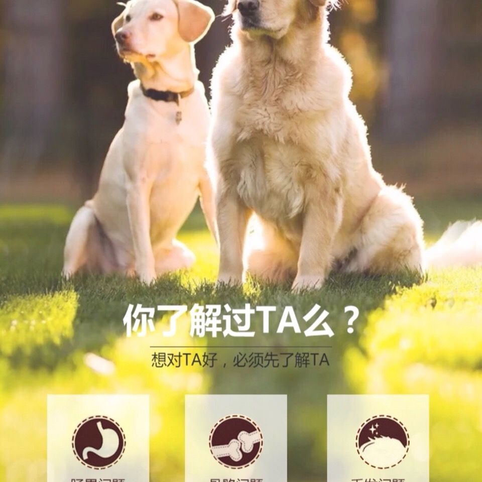 商品缩略图 6