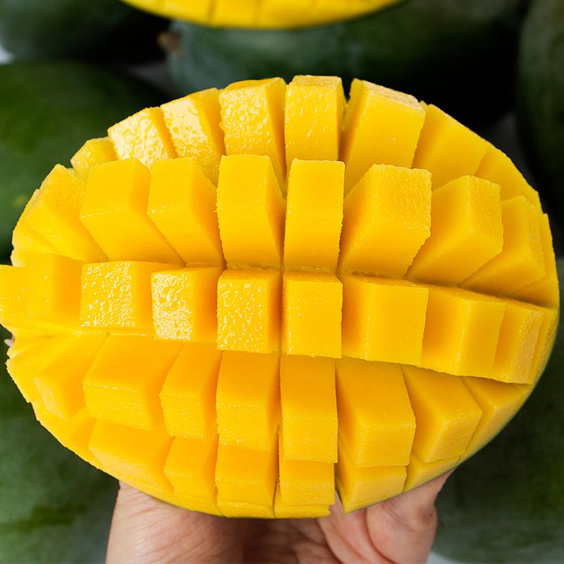 四川攀枝花凯特芒果当季新鲜水果大芒果2/3/5/10斤整箱批发包邮