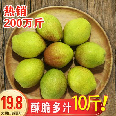 现摘红香酥梨香梨10斤/5斤/2斤源自新疆香梨整箱梨子批发新鲜水果