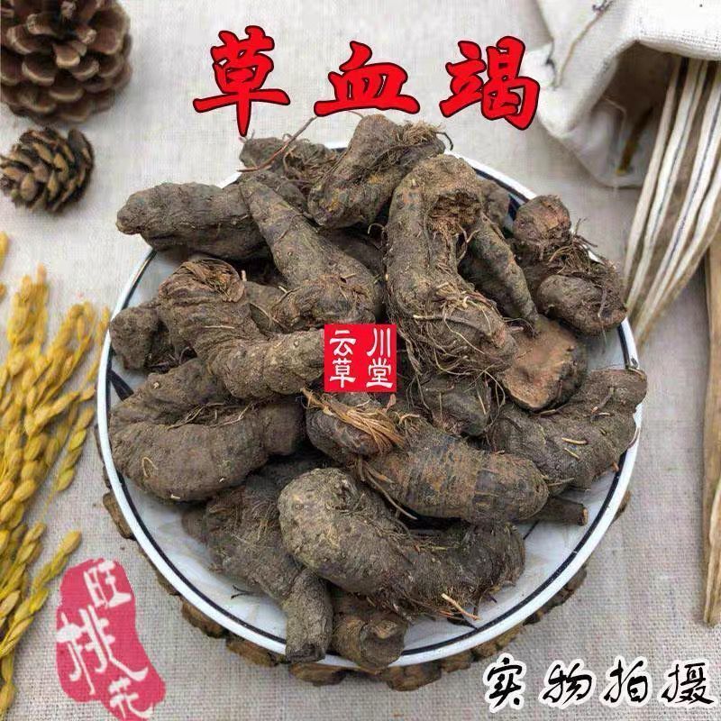 中药材草血竭 野生草血竭 一口血 拳参 土血竭 包邮