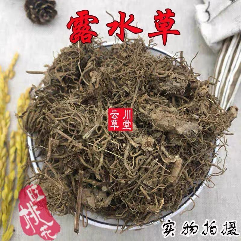 云南野生中药材 露水草 鸡冠参 换肺草 如意草珍珠露水草正品包邮