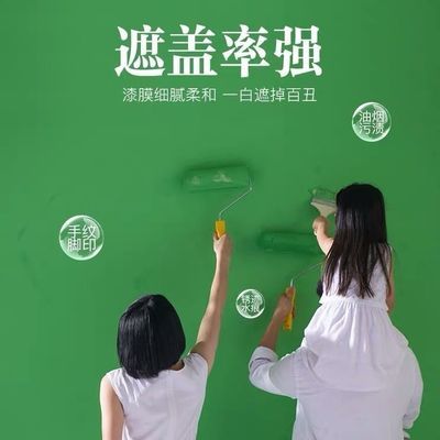 白色内墙底漆乳胶漆彩色油漆涂料防霉防水室内环保净味家用墙面漆