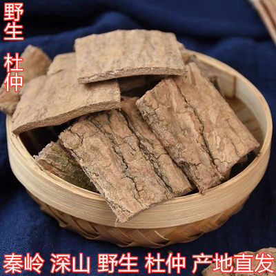 杜仲 杜仲皮中药材 杜仲茶 老树厚皮野生杜仲雄花茶可泡茶泡酒