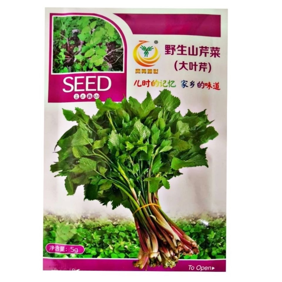 山芹菜种子又叫水芹菜大叶芹短果茴芹农家蔬菜种子二甲芹野菜种子