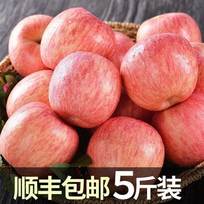 【顺丰包邮】烟台红富士苹果5斤果径80mm以上新鲜整箱