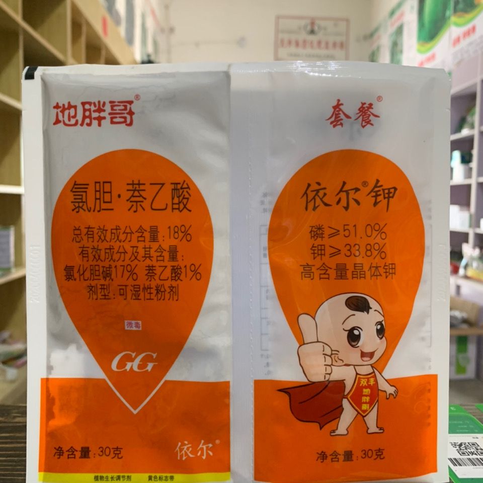 地胖哥小胖墩氯胆萘乙酸三七白术山药莴笋大姜大蒜地下作物膨大素