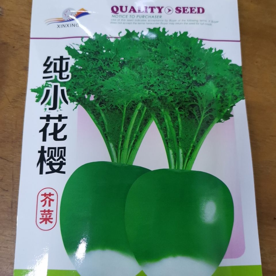 东北芥菜疙瘩种籽光头特大辣小樱花苹果二道眉秋季新蔬菜