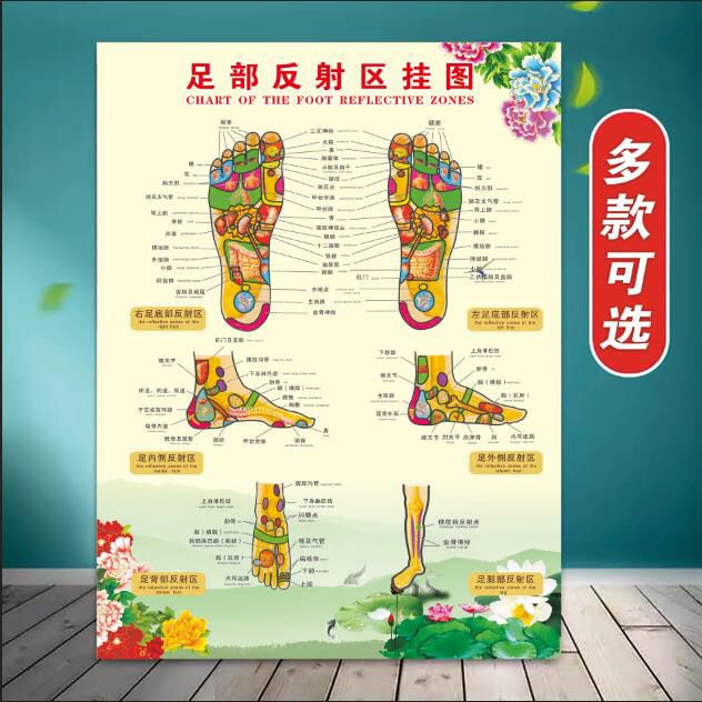 足部反射区挂图足底足疗按摩好处图片经络穴位图图解中医养生海报