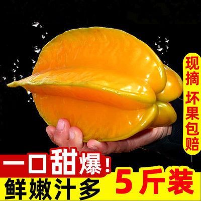 40101/【送酸梅粉】福建杨桃降火水果孕妇酸甜杨桃当季水果3/5斤批发