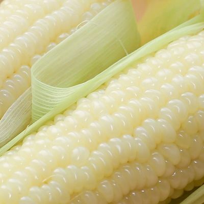 57850/山西带皮现摘白糯玉米棒子软糯粘黏微甜10根260g以上非转基因代餐