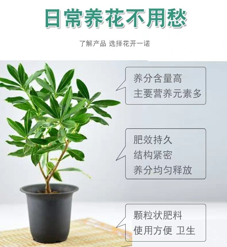 一喷绿营养液花肥料植物通用绿萝多肉花碗莲兰花卉水培植物蔬菜 农省宝