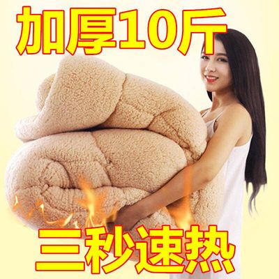 91401/【3秒速热】加厚10斤羊羔绒冬被双面绒法莱绒速暖被子加厚棉被芯