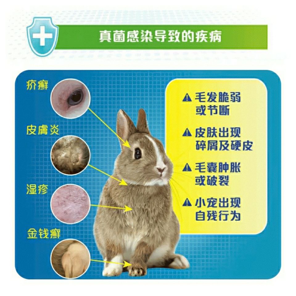 Dr.Bunny兔博士博卫迪真菌喷剂60ml兔子龙猫皮肤病药剂治皮癣湿疹