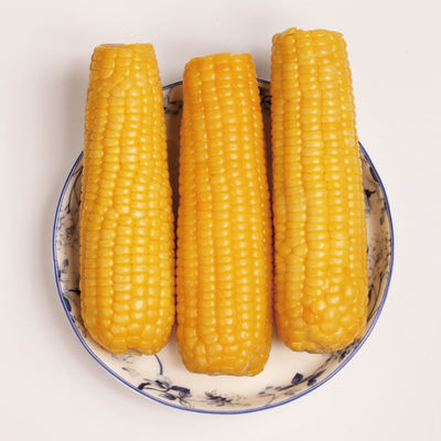科麦科玉米新鲜甜糯非转基因零添加蔬菜粘玉米真空黄糯