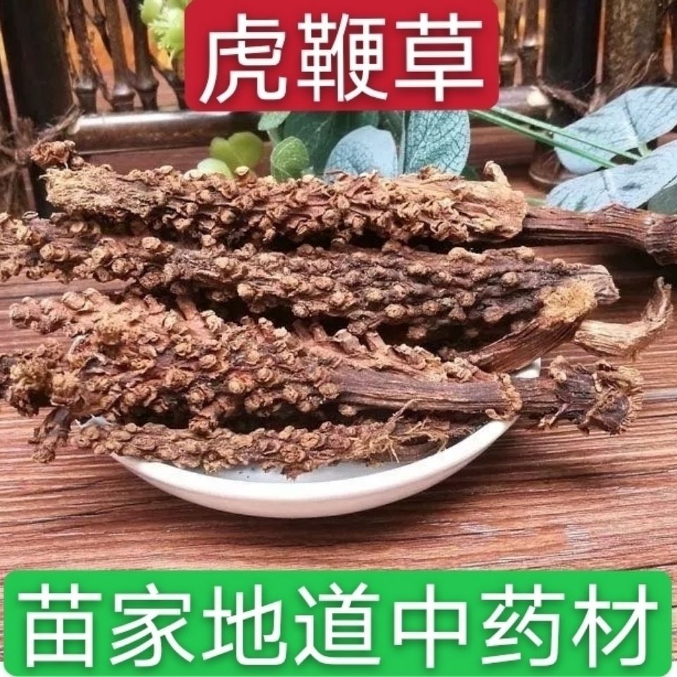 虎鞭草云南苗家特产顶天柱子孙草野生强劲草男性泡酒料
