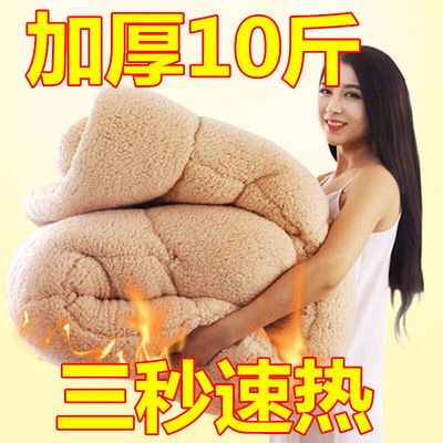 72812/加厚10斤羊羔绒冬被法莱绒双面绒速暖被子单人双人保暖被芯被褥