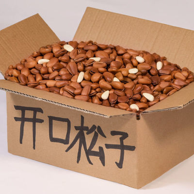 新货东北松子500g连罐重大颗粒原味野生开口松子手剥坚果零食50g