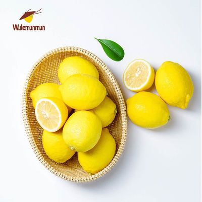 【新店促销】黄柠檬 新鲜水果柠檬果子 批发多规格柠檬泡水