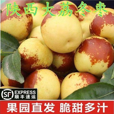 【顺丰现货】正宗陕西大荔冬枣新鲜现摘现发孕妇水果整箱包邮