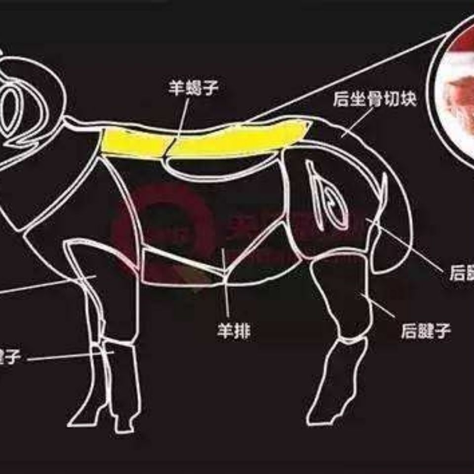 >  		     【顺丰包邮】多肉羔羊蝎子羊脊背肉多羊蝎子清真羊肉新鲜