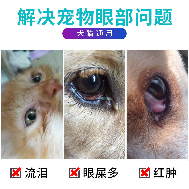 狗狗猫咪眼药水滴眼液消炎抗菌去泪痕眼睛发炎结膜炎消炎滴眼液