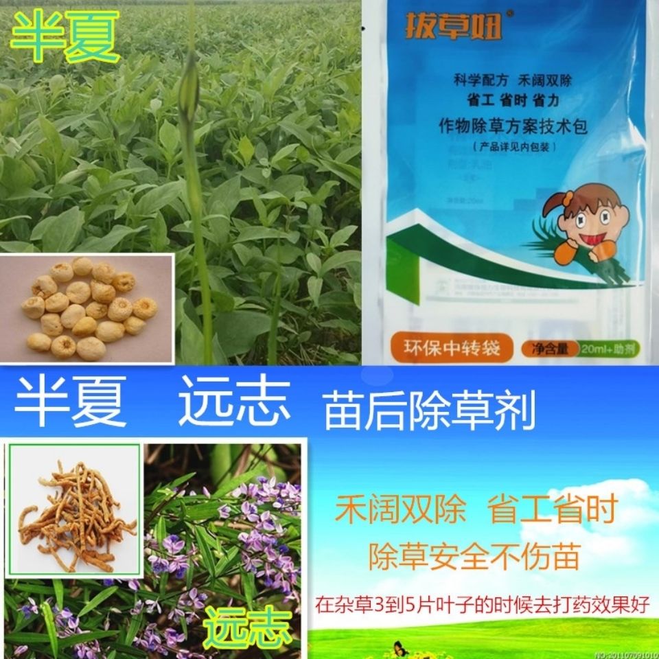 半夏苗后除草剂部分小的尖叶圆阔叶杂草有效安全高效种植大户首选