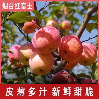 苹果水果批发整箱3斤5斤10斤烟台红富士栖霞原产地发新鲜时令果蔬