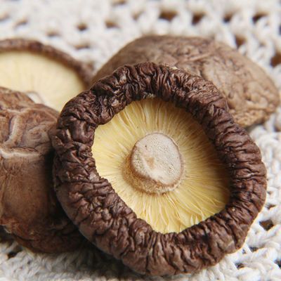 甘肃高原松山香菇500g*2袋