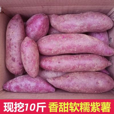 【香甜粉糯】沙地紫薯新鲜蔬菜番薯紫地瓜2/5/10斤装紫
