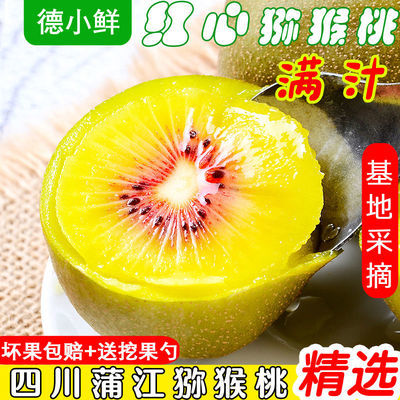 57876/四川蒲江红心猕猴桃水果批发一箱特大果当季孕妇水果爆甜奇异果