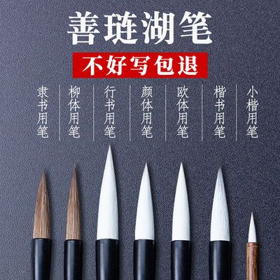 169469/善琏湖笔兼毫毛笔楷书行书隶书狼毫羊毫国画套装学生初学书法用品