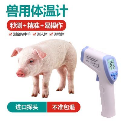 兽用体温计猪体温计兽用体温计猪用兽用电子体温计动物测温仪