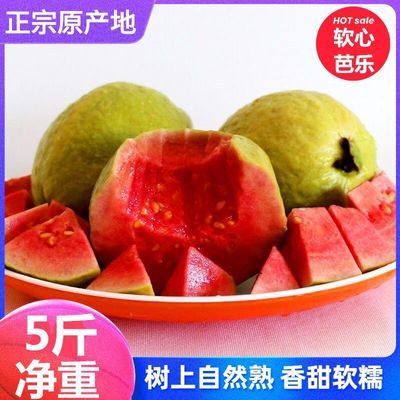 福建软心红心番石榴 新鲜水果白心香软芭乐红软糯鸡屎果1/3/5斤包