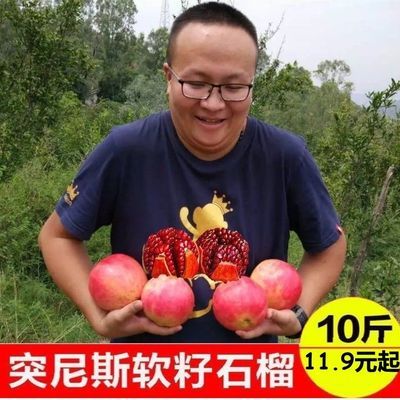 76448/盐水软籽石榴整箱礼盒装 突尼斯软籽石榴正宗软籽非会理邮政快递