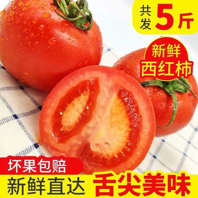 [包邮]云南露天西红柿新鲜蔬菜农家种植自然熟产地直发现采摘发货
