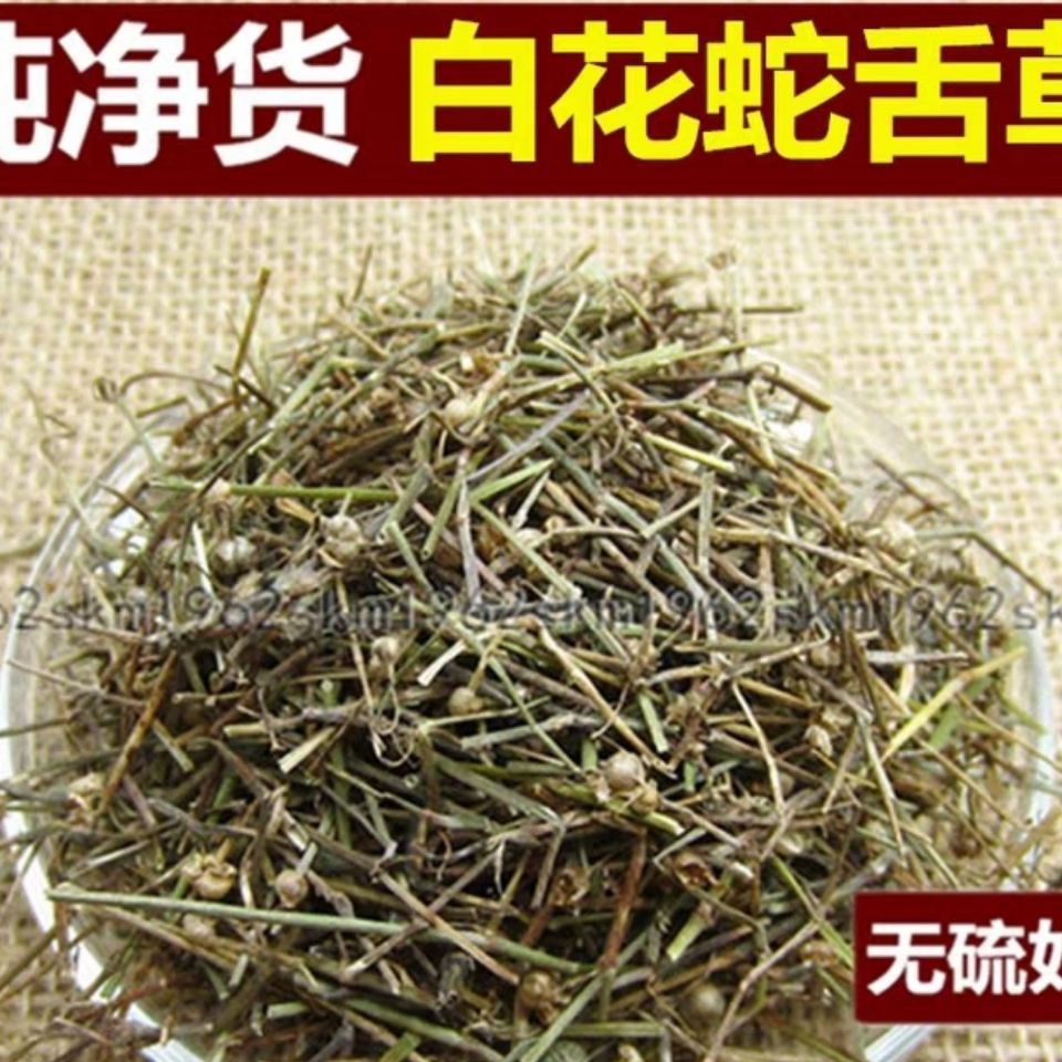 中药材野生新货 白花蛇舌草包邮白花蛇草半枝莲铁树叶多规格