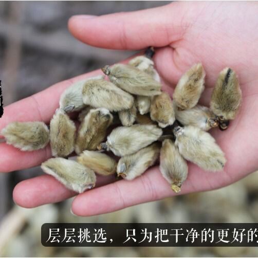 中药材辛夷花精选天然无硫辛夷花毛桃玉兰花茶枕芯500克多规格 虎窝拼