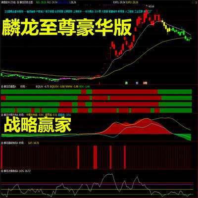 麟龙股票 通达信指标公式 股票软件金钻指标高端定制指标U盘