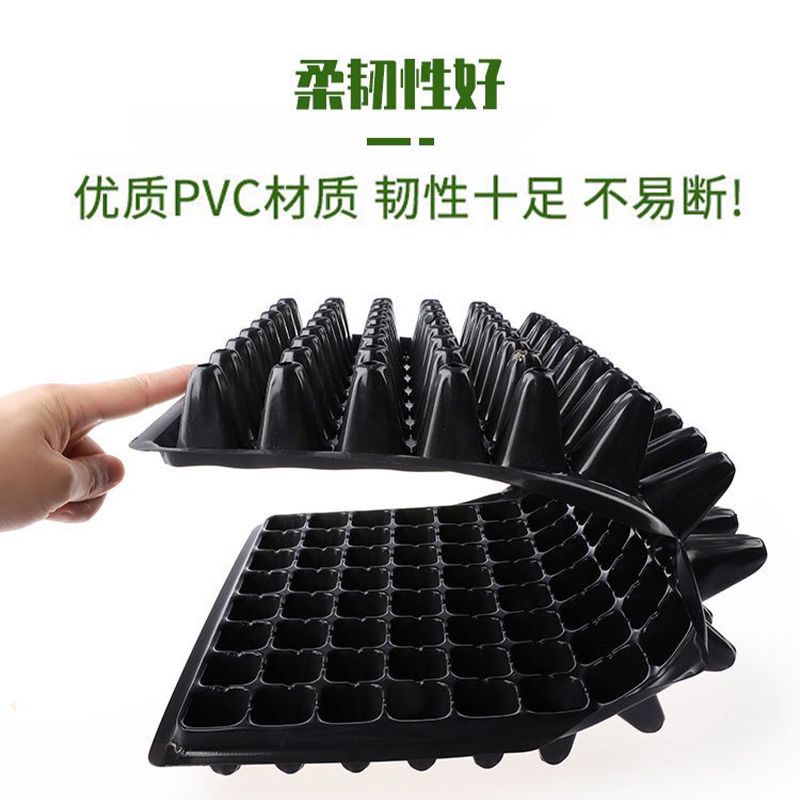 育苗穴盘育苗盘无毒pet多肉叶插盘育苗器扦插盘秧苗盘草莓育苗盘