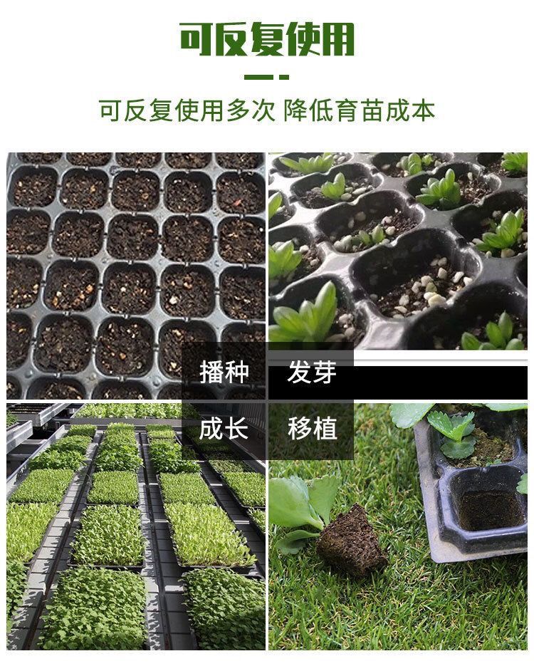 育苗穴盘育苗盘无毒pet多肉叶插盘育苗器扦插盘秧苗盘草莓育苗盘