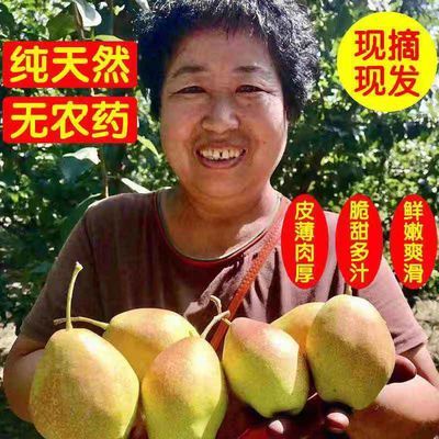 陕西红香酥梨香梨新鲜水果10斤/5斤/2斤源自库尔勒香梨子整箱批发
