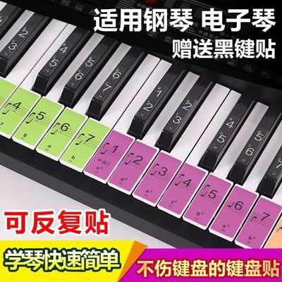 钢琴贴纸 88/61/54键盘贴儿童彩色琴键贴纸通用电子琴键盘保护贴